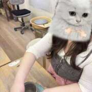 ヒメ日記 2025/03/31 19:17 投稿 ことか りんくう泉佐野ちゃんこ