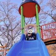 ヒメ日記 2025/04/16 16:34 投稿 ことか りんくう泉佐野ちゃんこ