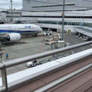 ヒメ日記 2025/03/03 14:50 投稿 なつ りんくう泉佐野ちゃんこ