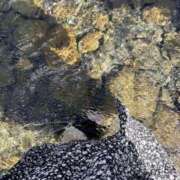 ヒメ日記 2025/08/28 18:22 投稿 ゆな りんくう泉佐野ちゃんこ