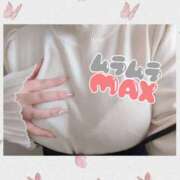 ヒメ日記 2025/02/15 22:41 投稿 チチ りんくう泉佐野ちゃんこ