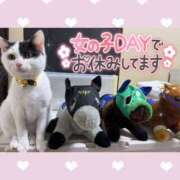 ヒメ日記 2025/03/03 16:02 投稿 チチ りんくう泉佐野ちゃんこ