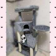 ヒメ日記 2025/03/03 23:27 投稿 チチ りんくう泉佐野ちゃんこ