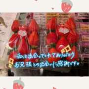 ヒメ日記 2025/04/26 02:35 投稿 チチ りんくう泉佐野ちゃんこ