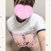 ヒメ日記 2025/05/17 10:29 投稿 チチ りんくう泉佐野ちゃんこ