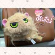 ヒメ日記 2025/06/29 08:10 投稿 チチ りんくう泉佐野ちゃんこ