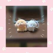 ヒメ日記 2025/10/10 19:52 投稿 チチ りんくう泉佐野ちゃんこ