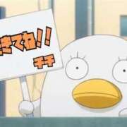 ヒメ日記 2025/11/09 03:12 投稿 チチ りんくう泉佐野ちゃんこ