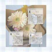 ヒメ日記 2025/11/12 06:52 投稿 チチ りんくう泉佐野ちゃんこ