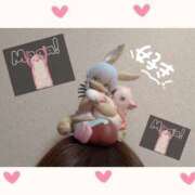 ヒメ日記 2025/11/24 11:52 投稿 チチ りんくう泉佐野ちゃんこ