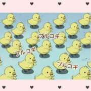 ヒメ日記 2026/02/12 20:42 投稿 チチ りんくう泉佐野ちゃんこ