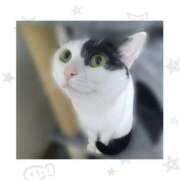 ヒメ日記 2026/02/15 17:42 投稿 チチ りんくう泉佐野ちゃんこ