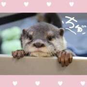 ヒメ日記 2026/03/07 04:32 投稿 チチ りんくう泉佐野ちゃんこ