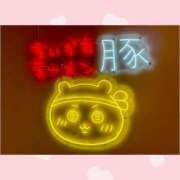 ヒメ日記 2026/03/08 02:12 投稿 チチ りんくう泉佐野ちゃんこ