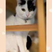 ヒメ日記 2026/03/21 18:02 投稿 チチ りんくう泉佐野ちゃんこ