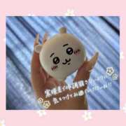 ヒメ日記 2026/04/03 09:22 投稿 チチ りんくう泉佐野ちゃんこ