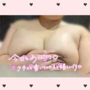 ヒメ日記 2026/04/05 03:12 投稿 チチ りんくう泉佐野ちゃんこ