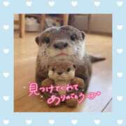 ヒメ日記 2026/05/11 07:22 投稿 チチ りんくう泉佐野ちゃんこ