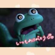 ヒメ日記 2026/05/16 02:22 投稿 チチ りんくう泉佐野ちゃんこ
