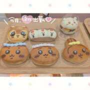 ヒメ日記 2026/10/02 19:12 投稿 チチ りんくう泉佐野ちゃんこ