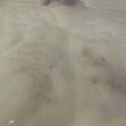 ヒメ日記 2025/03/05 22:15 投稿 アクア りんくう泉佐野ちゃんこ