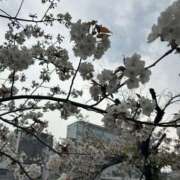 ヒメ日記 2025/04/10 19:28 投稿 アクア りんくう泉佐野ちゃんこ