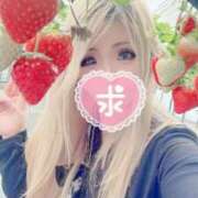 ヒメ日記 2025/06/02 09:19 投稿 アクア りんくう泉佐野ちゃんこ