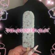 ヒメ日記 2025/02/27 18:43 投稿 れい りんくう泉佐野ちゃんこ