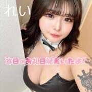 ヒメ日記 2025/12/13 12:12 投稿 れい りんくう泉佐野ちゃんこ