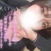 ヒメ日記 2026/01/08 19:32 投稿 れい りんくう泉佐野ちゃんこ