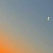 ヒメ日記 2025/03/13 23:54 投稿 ここみ 立川女学園