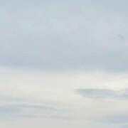 ヒメ日記 2025/05/19 16:23 投稿 ここみ 立川女学園