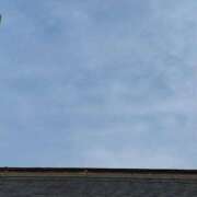 ヒメ日記 2025/05/23 12:43 投稿 ここみ 立川女学園