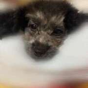 ヒメ日記 2025/09/16 20:00 投稿 ひな キミの乳首が好き！！五反田店