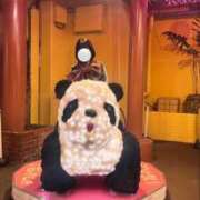 ヒメ日記 2025/11/10 14:59 投稿 まり キミの乳首が好き！！五反田店