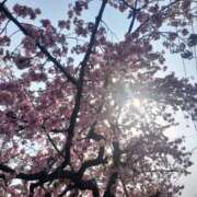 ヒメ日記 2025/04/07 23:04 投稿 まき 美熟女倶楽部Hip's 春日部店