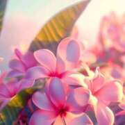 ヒメ日記 2025/02/09 22:15 投稿 つき 新横浜人妻ポルノ