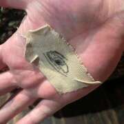 ヒメ日記 2026/03/03 17:10 投稿 りな ごほうびSPA五反田店