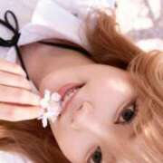 ヒメ日記 2026/03/31 17:20 投稿 りな ごほうびSPA五反田店