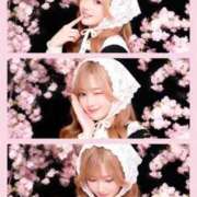 ヒメ日記 2026/04/13 15:30 投稿 りな ごほうびSPA五反田店