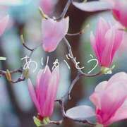 ヒメ日記 2025/02/07 08:54 投稿 もな 熟女の風俗最終章 新潟店