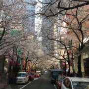 ヒメ日記 2025/03/25 10:34 投稿 もな 熟女の風俗最終章 新潟店