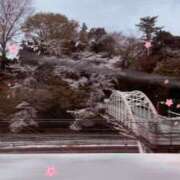 ヒメ日記 2025/03/31 22:34 投稿 もな 熟女の風俗最終章 新潟店