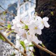 ヒメ日記 2025/04/06 08:54 投稿 もな 熟女の風俗最終章 新潟店