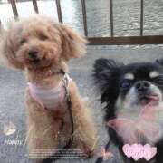 ヒメ日記 2025/05/10 11:24 投稿 もな 熟女の風俗最終章 新潟店