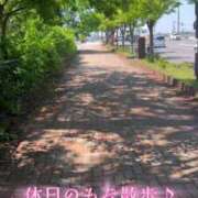 ヒメ日記 2025/05/15 16:24 投稿 もな 熟女の風俗最終章 新潟店