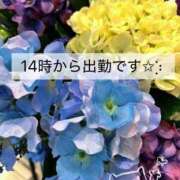 ヒメ日記 2025/06/07 08:44 投稿 もな 熟女の風俗最終章 新潟店