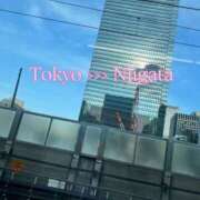 ヒメ日記 2025/07/03 17:20 投稿 もな 熟女の風俗最終章 新潟店