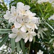 ヒメ日記 2025/07/08 10:08 投稿 もな 熟女の風俗最終章 新潟店