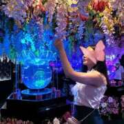 ヒメ日記 2025/07/03 02:09 投稿 めあ OL倶楽部